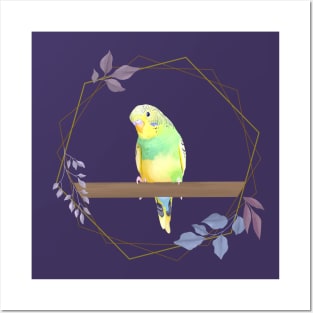 Cute Green Budgie Posters and Art